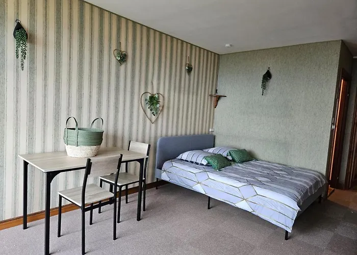 Le Panorama Studio Prive Avec Vue Magnifique Turckheim Trois Epis