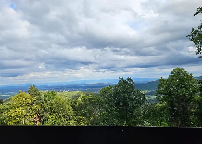 Le Panorama Studio Prive Avec Vue Magnifique Turckheim Trois Epis