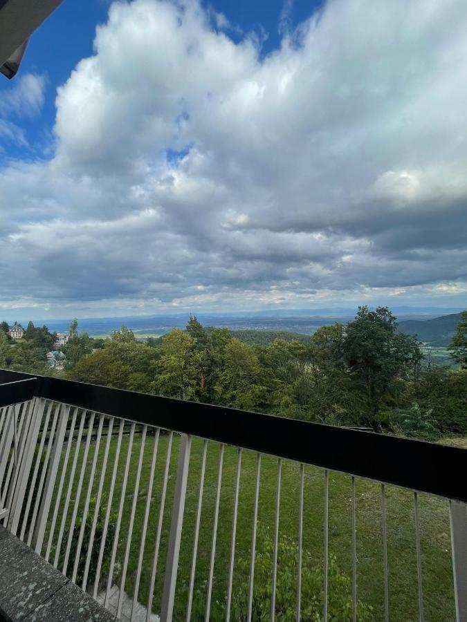 Apartment Le Panorama Prive Avec Vue Magnifique Trois Epis Turckheim
